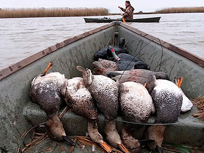 Duck Hunting Guide Services, New Orleans LA